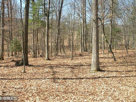 3rd image of 14800 Weitzell Blvd