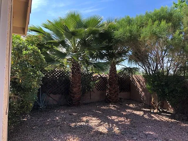 7000 Desert Clover Ct — Photo 15