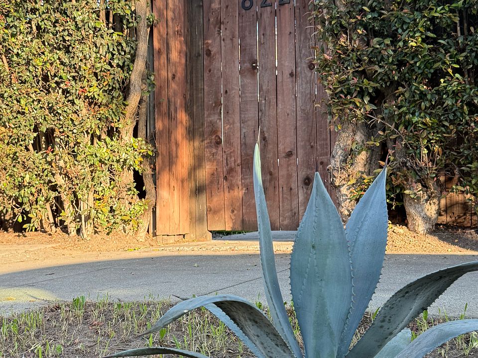 Private front yard entrance with space to relax or garden __