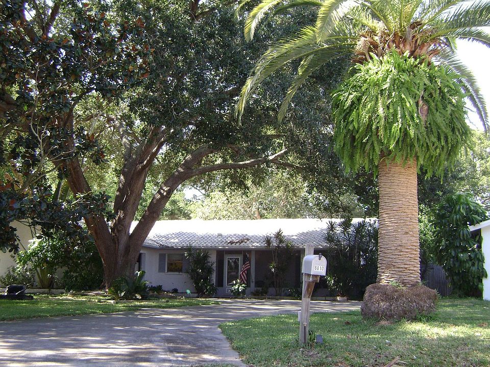 Beautiful Greenery, Long Drive Way and Palm Tree