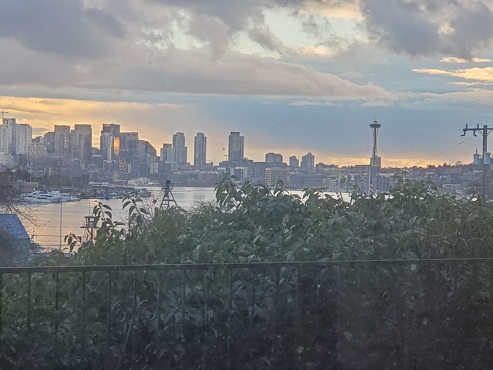 View from slider and picture window