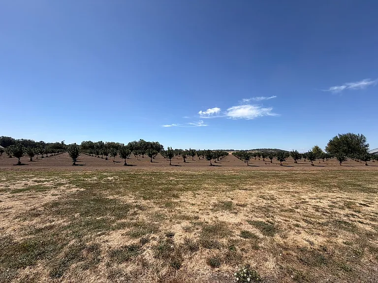 27840 Seven Mile Ln — Photo 53