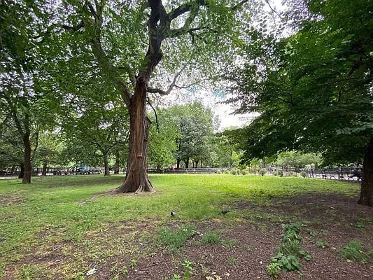 Rented by Alpha Properties NYC I LLC | media 9