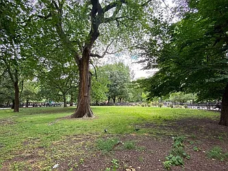 Rented by Alpha Properties NYC I LLC