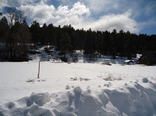 394 Red Ryder Cir, Pagosa Springs, CO 81147