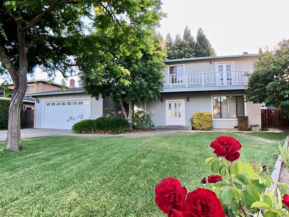 Lawn and front of house