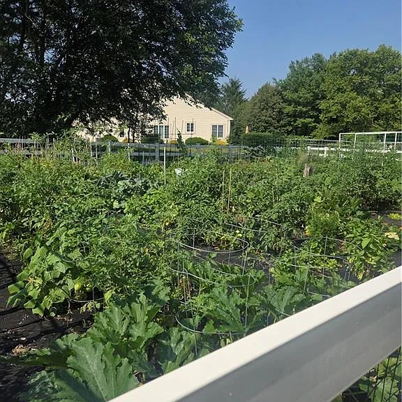 11 Chadwick Ln #11C — Photo 7