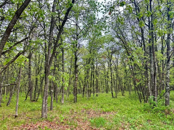 LOT 4 204th St, Park Rapids, MN 56470