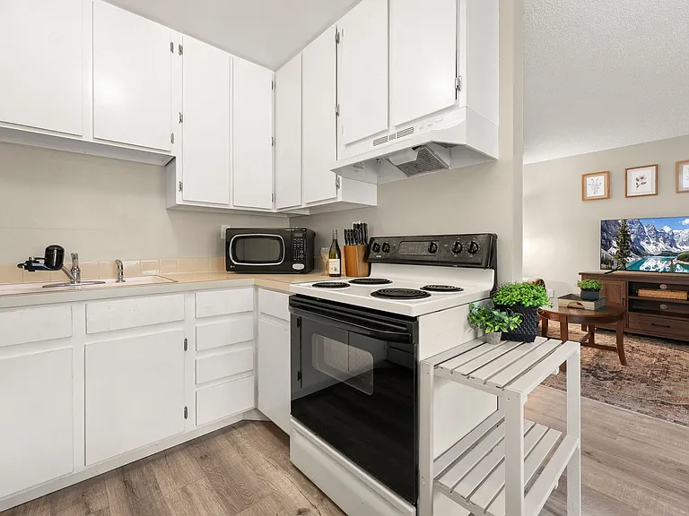 1209 W Plum St #B11 — Photo 9