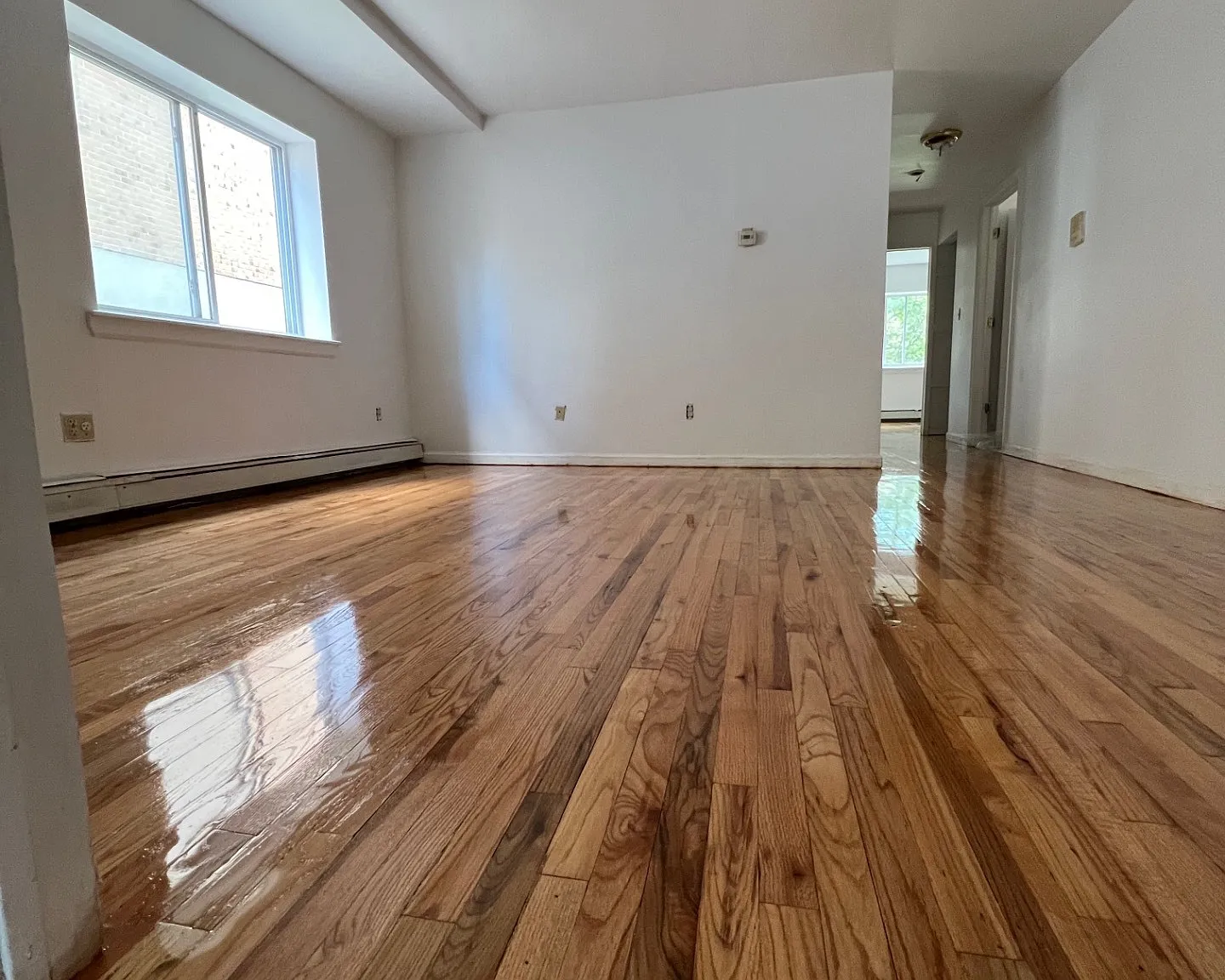 3 bed, 1.0 bath, $3,300 — Photo 4