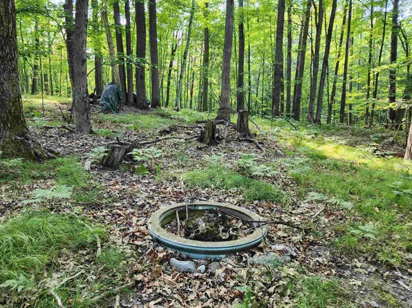 5296 Fawn Ter, Farwell, MI 48622