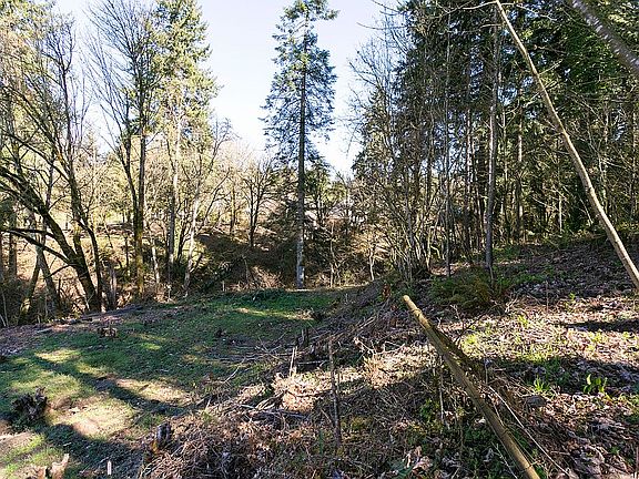 4th image of 11313 NE Highway 99