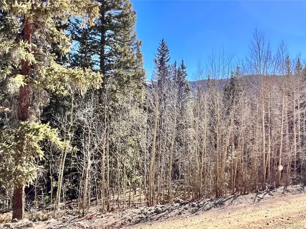 642 Quartzville Road LOT 34, Alma, CO 80420