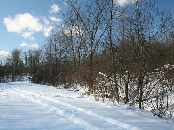 3rd image of LOT 738 Cayuse Trl