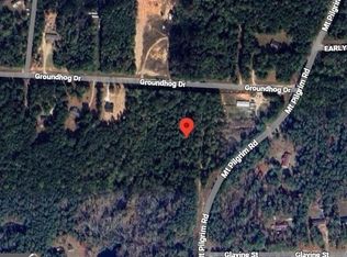55 Ground Hog Dr, Greenville, GA 30222