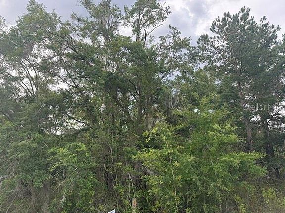 3rd image of 21902 NE 69TH PLACE LOT 42