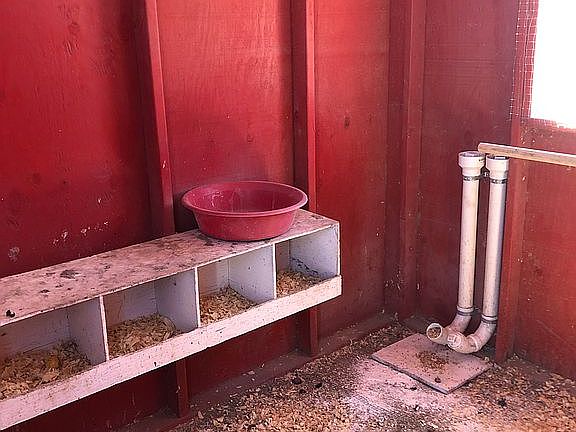 Chicken coop