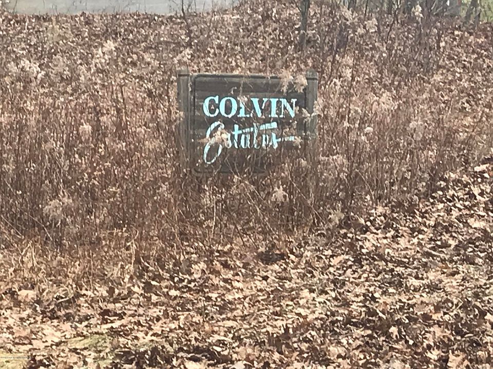 2nd image of LOT 9 Colvin Estates
