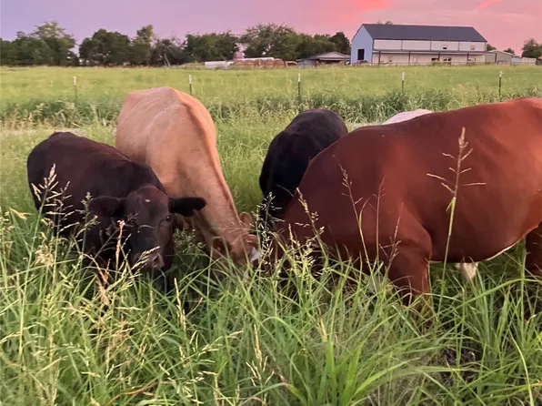 2155 County Road 697, Farmersville, TX 75442