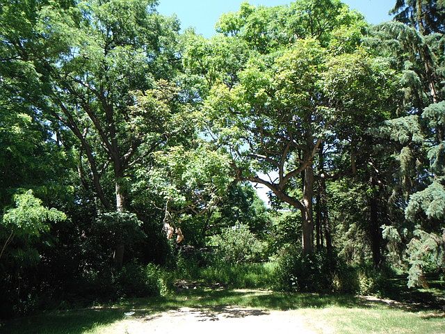 2nd image of 25880 W Highpoint Rd