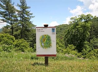 29 Grovepoint Way LOT 9, Asheville, NC 28804