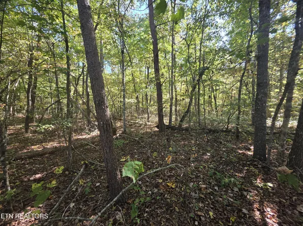 L6 Cumberland Lakes Dr, Monterey, TN 38574