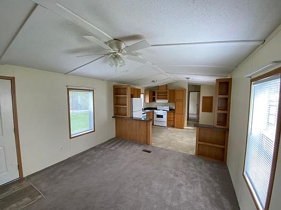 Living room and kitchen