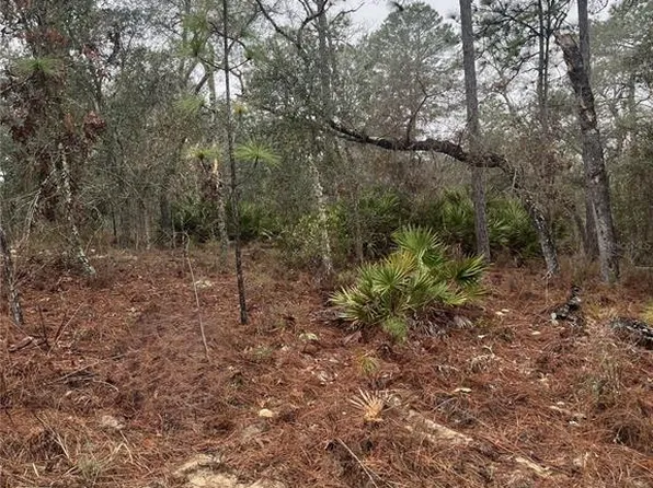 6692 N Airmont Dr Lot 20, Dunnellon, FL 34433