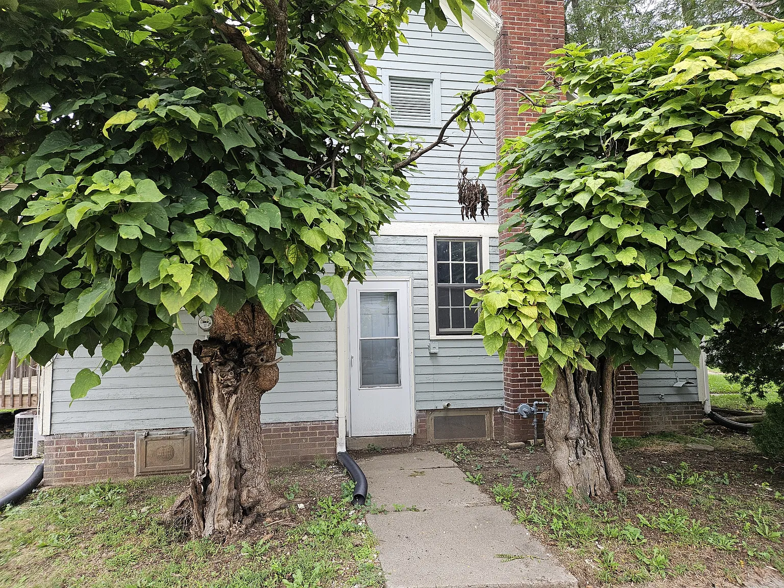 WAH 1333 N Pine Street - 1 — Photo 3