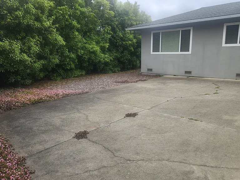 708 Arroyo Leon Dr — Photo 17