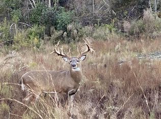 6391 Express Rd, Grand Ridge, FL 32442