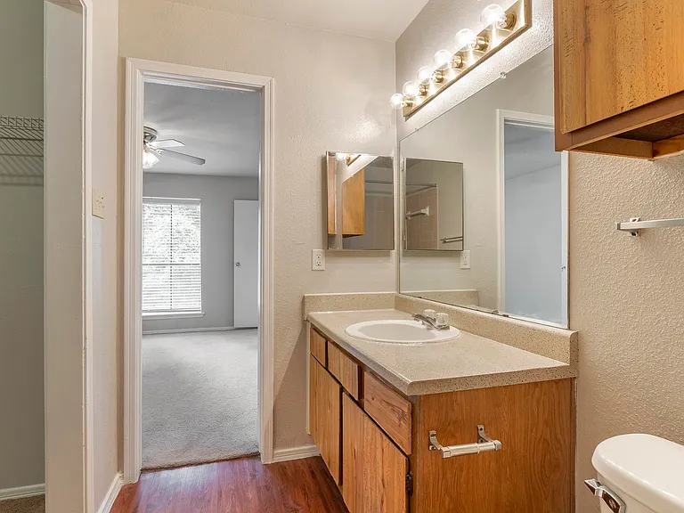 2911 Sycamore Springs Dr — Photo 54