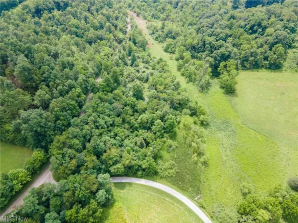 White Eyes Rd, New Concord, OH 43762