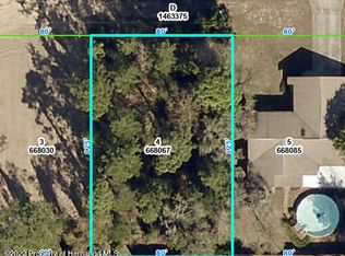 0 Birchwood Rd, Spring Hill, FL 34608