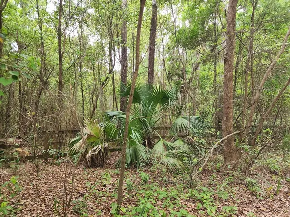 15363 SE 156th Place Rd #4, Weirsdale, FL 32195