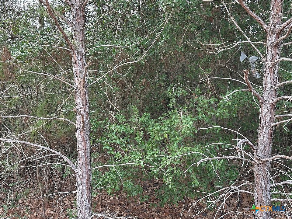 1st image of Pine Hill Loop