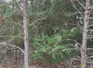 Pine Hill Loop, Bastrop, TX 78602