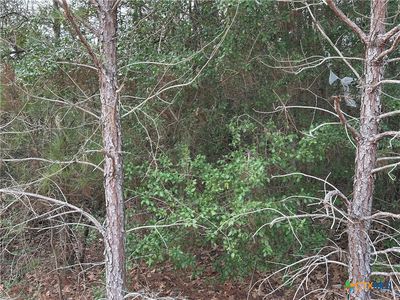 Pine Hill Loop, Bastrop, TX, 78602