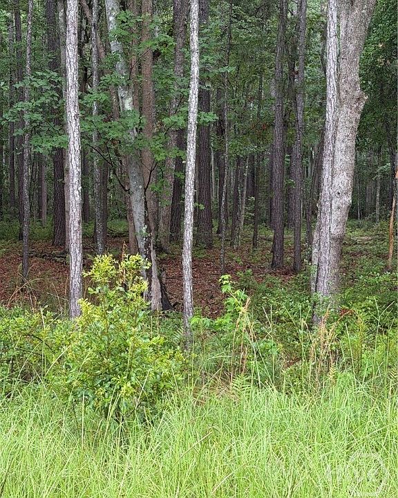 1st image of 157 Wood Haven Lane