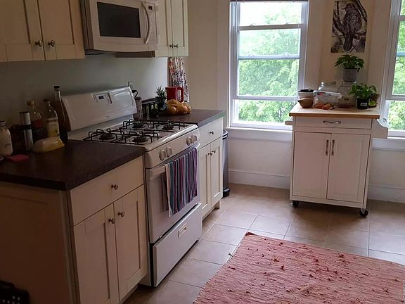 Gast stove & microwave.