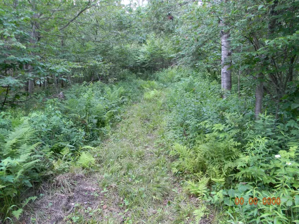 Burr Oak Rd, Kennan, WI 54537