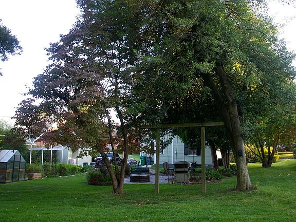 Back yard