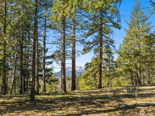 36 Wanawish Loop, Cle Elum, WA 98922