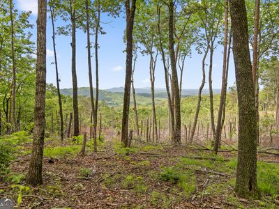 394 Double Oak Trl, Talking Rock, GA, 30175