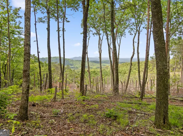394 Double Oak Trl, Talking Rock, GA 30175