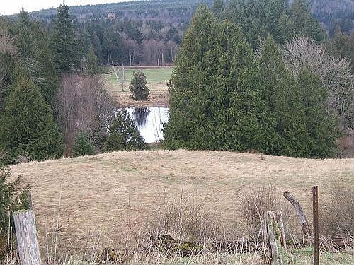 View of pond and Olympics from building site