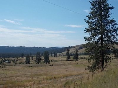 1482 Dead Medicine Rd, Evans, WA, 99126