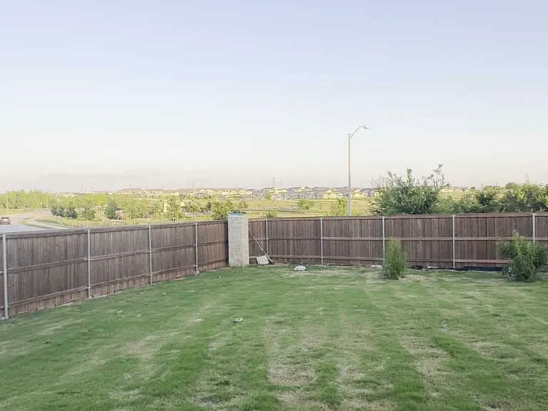 Backyard