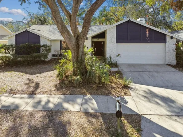 3113 Blue Heron St, Safety Harbor, FL 34695