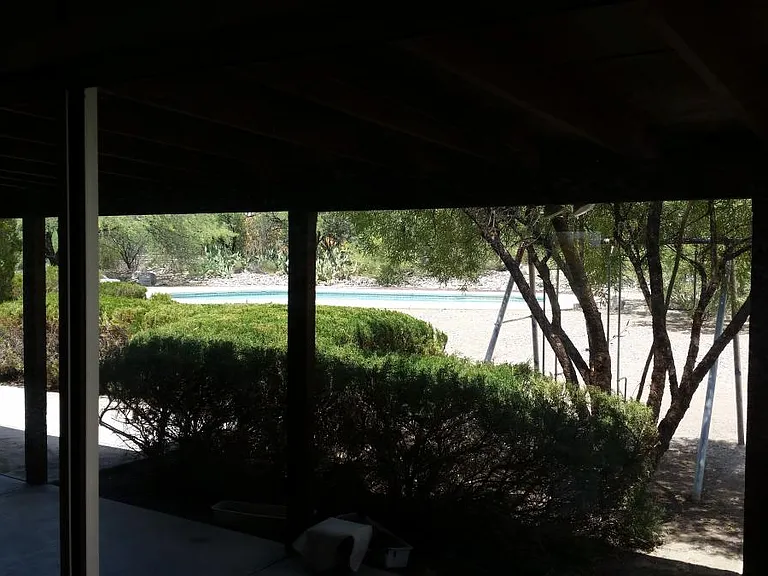 View of backyard from master bedroom